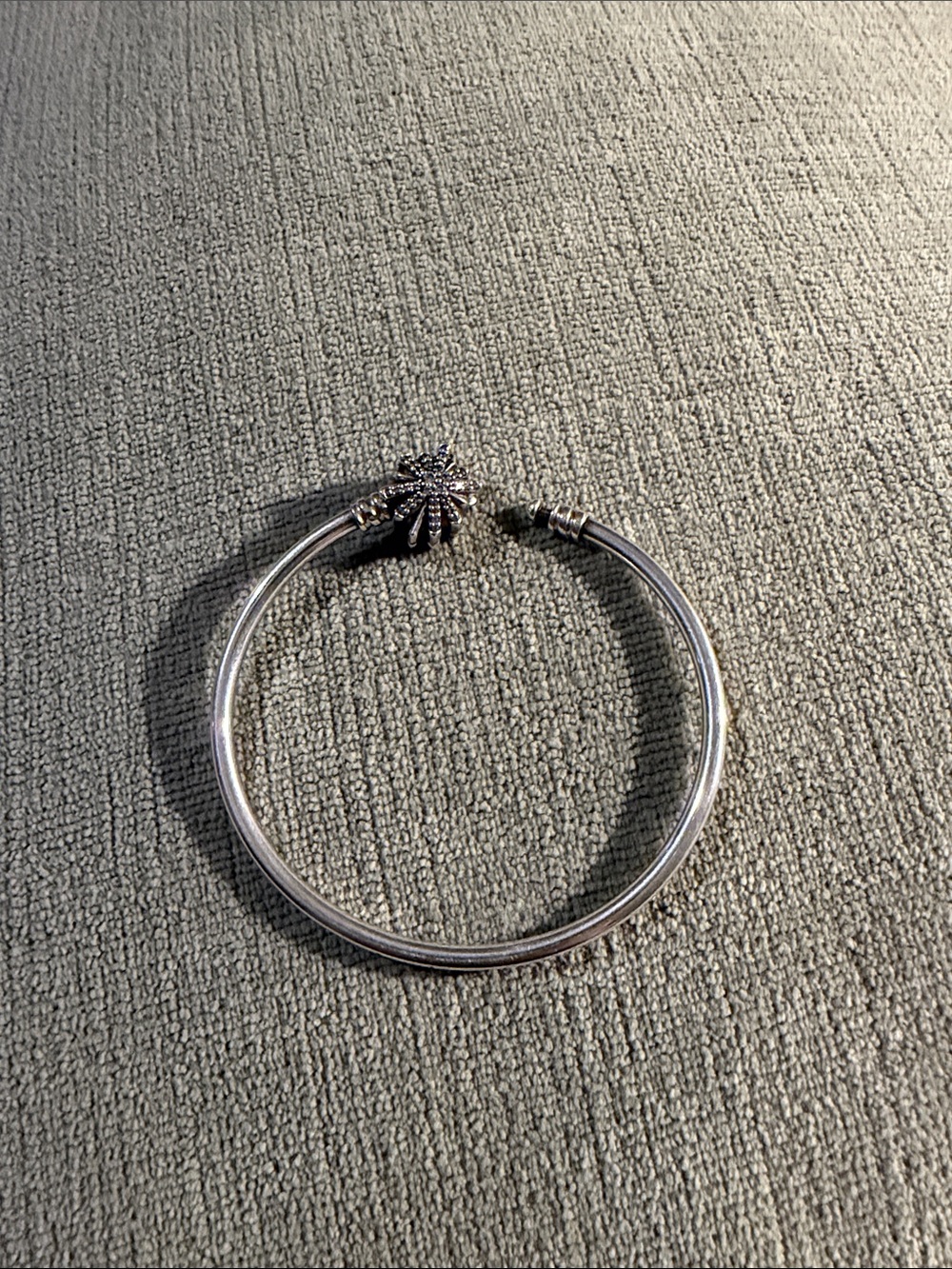 Pandora - Picture 2 of 4